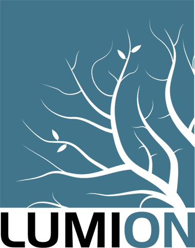 lumion 8 logo lumion 8 logo
